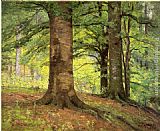 Beech Trees by Theodore Clement Steele